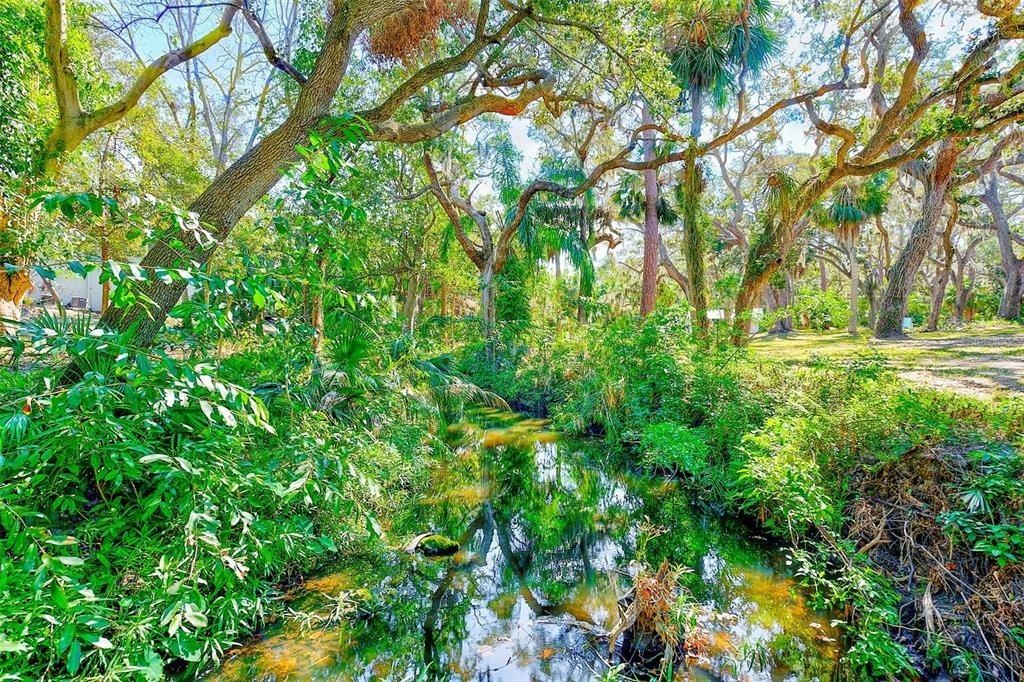 13450 Wilcox Road, Largo, FL 33774 Photo