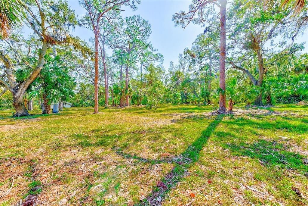 13450 Wilcox Road, Largo, FL 33774 Photo