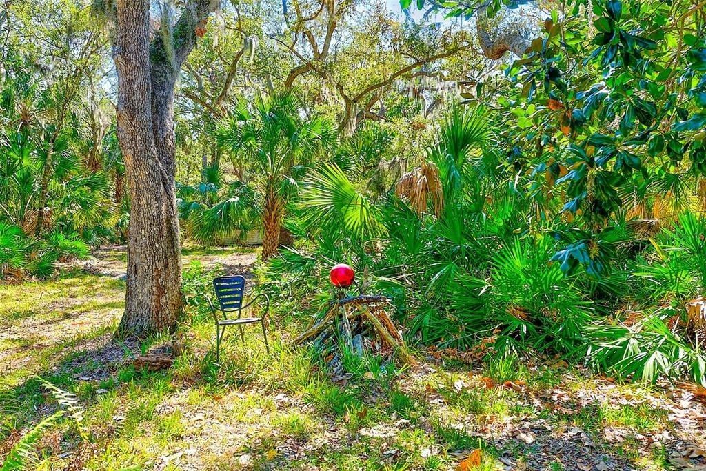 13450 Wilcox Road, Largo, FL 33774 Photo