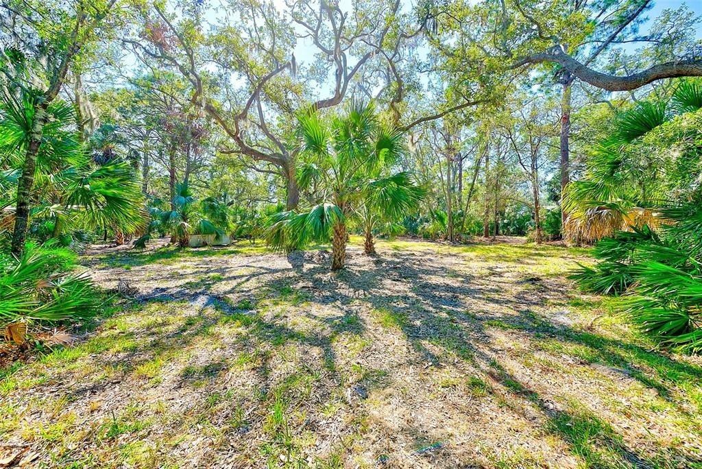 13450 Wilcox Road, Largo, FL 33774 Photo