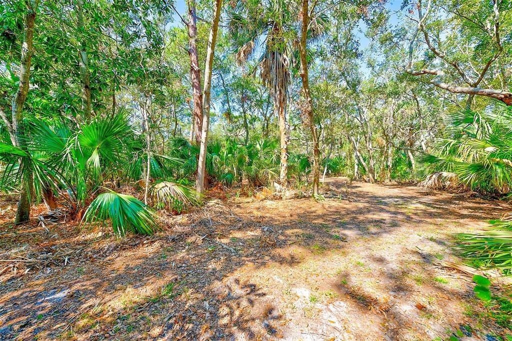 13450 Wilcox Road, Largo, FL 33774 Photo