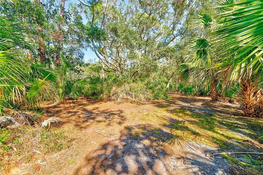 13450 Wilcox Road, Largo, FL 33774 Photo