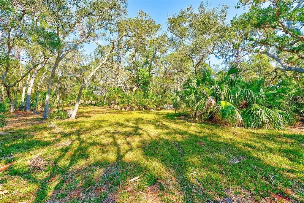 13450 Wilcox Road, Largo, FL 33774 Photo