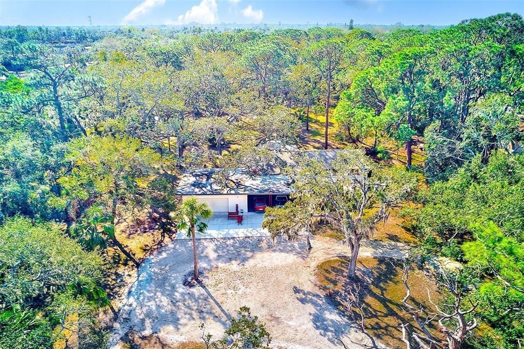 13450 Wilcox Road, Largo, FL 33774 Photo