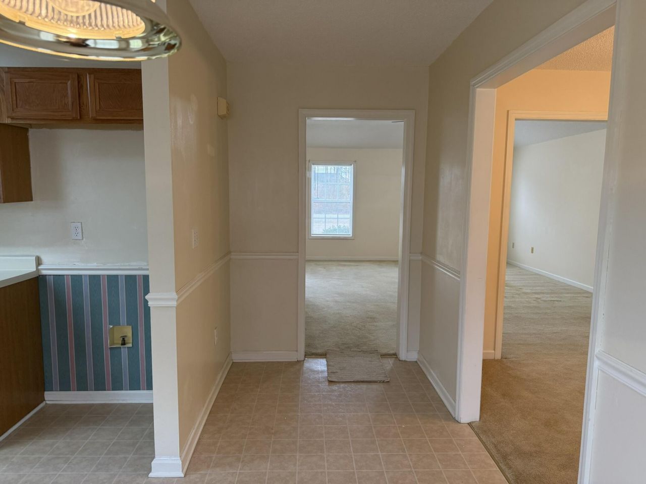 146 Lombardi Court Photo 11