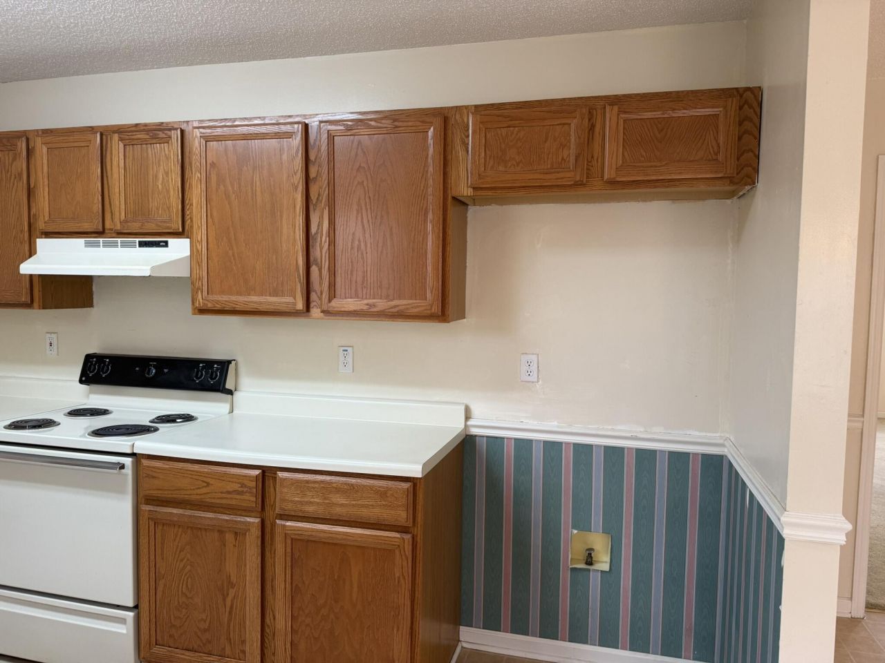 146 Lombardi Court Photo 13