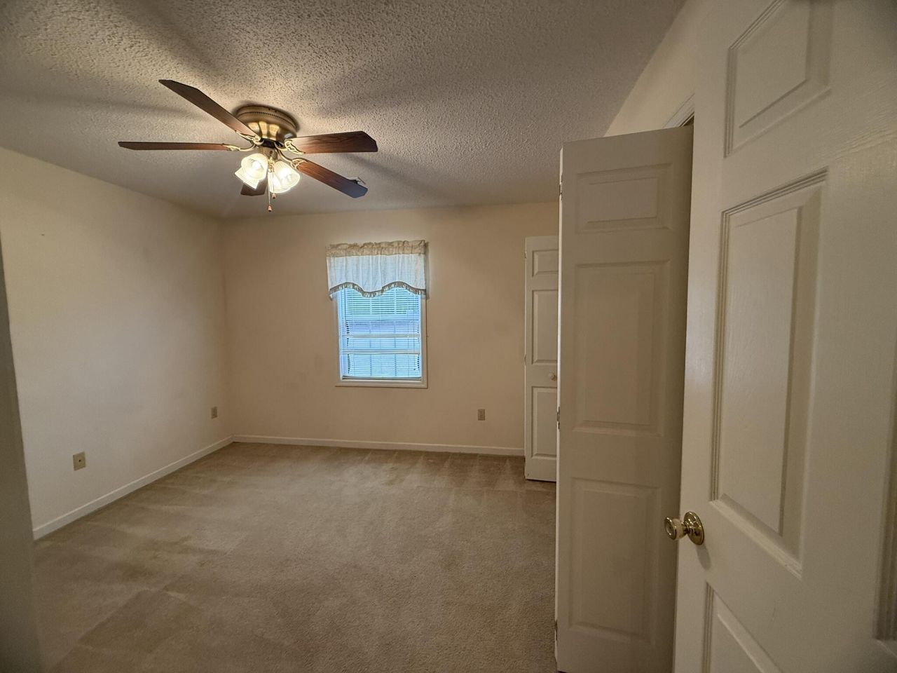 146 Lombardi Court Photo 20