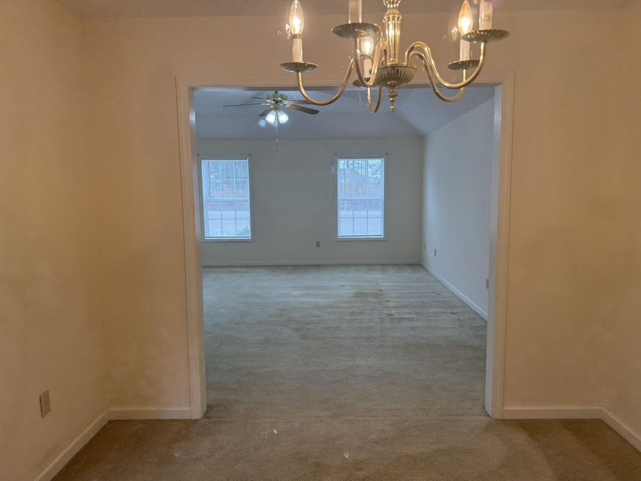 146 Lombardi Court Photo 9
