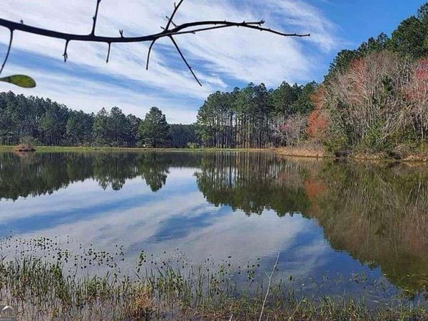 221 W 1St Street, Arabi, GA 31712