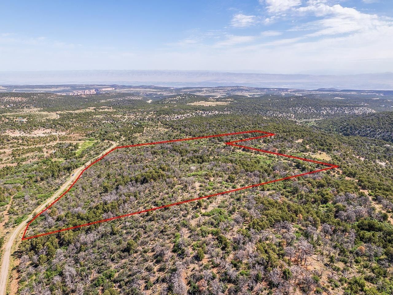 Tbd Elk Reserve Road, Glade Park, CO 81523 Main Photo