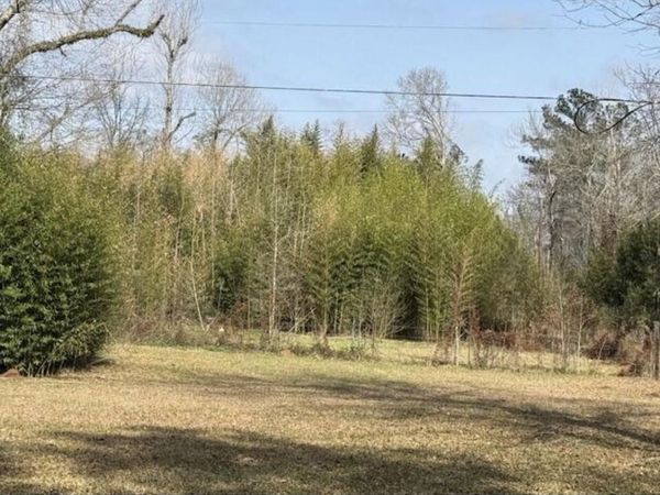 Lot 3 Hwy 394, DeRidder, LA 70633