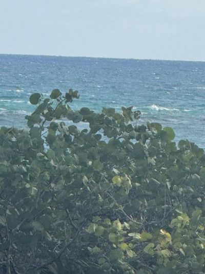 1180 S Ocean Boulevard, Unit 2e, Boca Raton, FL 33432 Photo