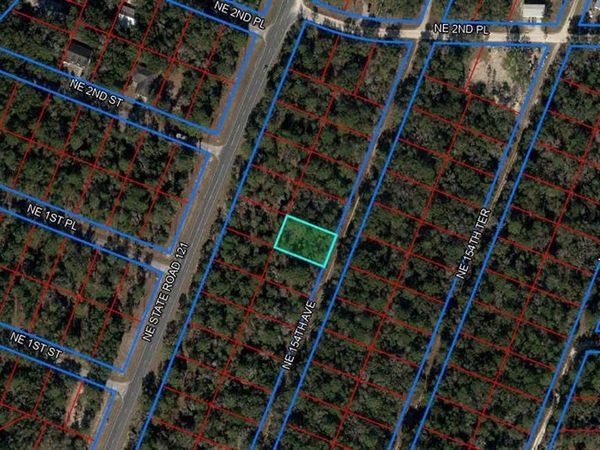 tbd NE 154TH AVENUE, WILLISTON, FL 32696