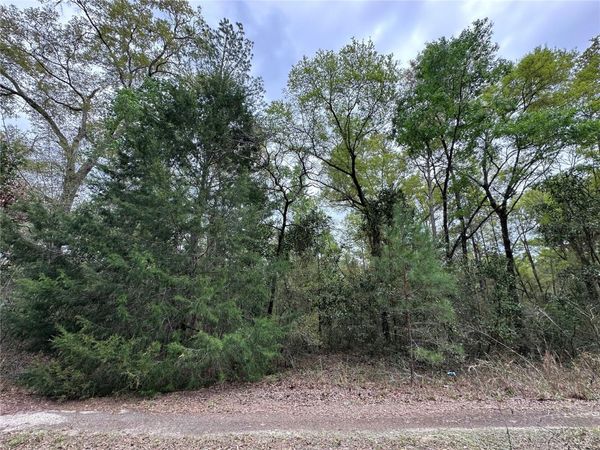 tbd NE 154TH AVENUE, WILLISTON, FL 32696