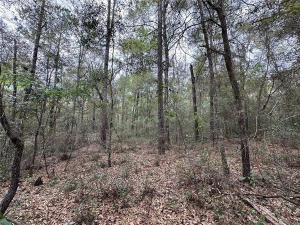 176 NE 155TH COURT, WILLISTON, FL 32696