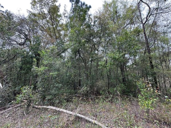 tbd NE 154TH TERRACE, WILLISTON, FL 32696
