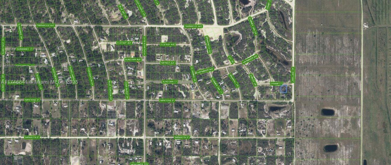 509 Drama Court, Lake Placid, FL 33852 Photo