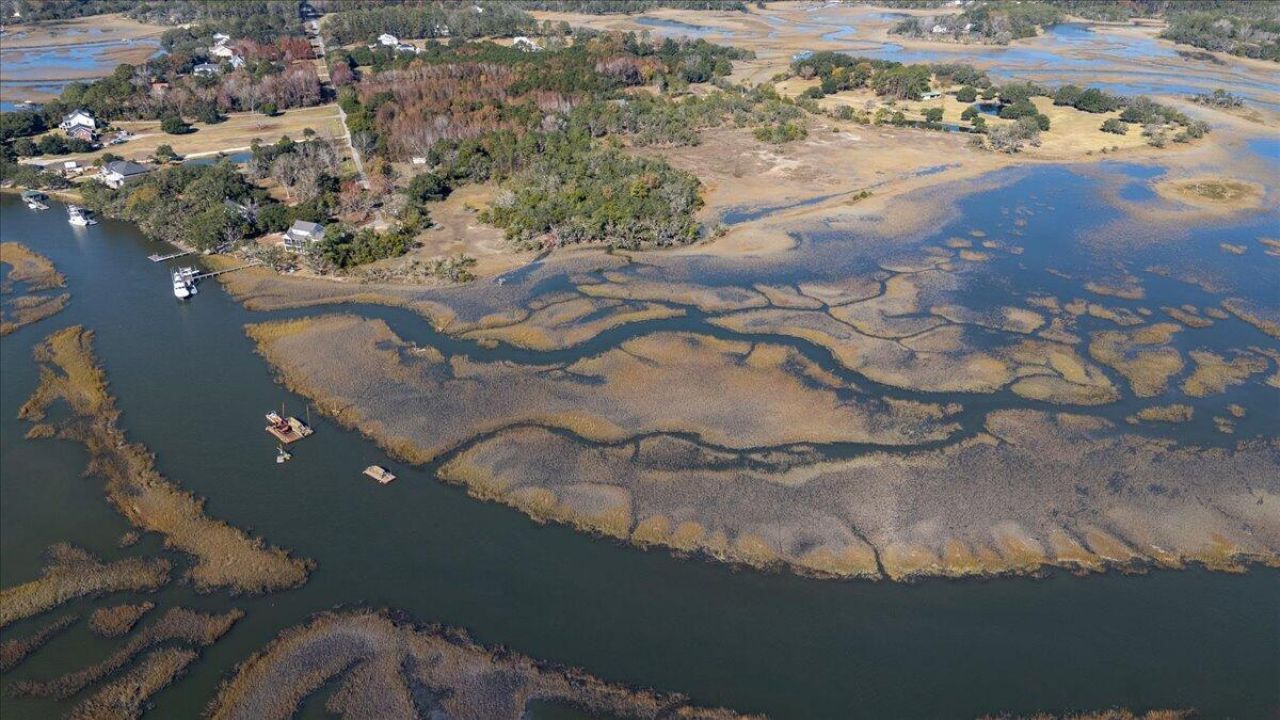 5d Archfield Avenue Photo 15