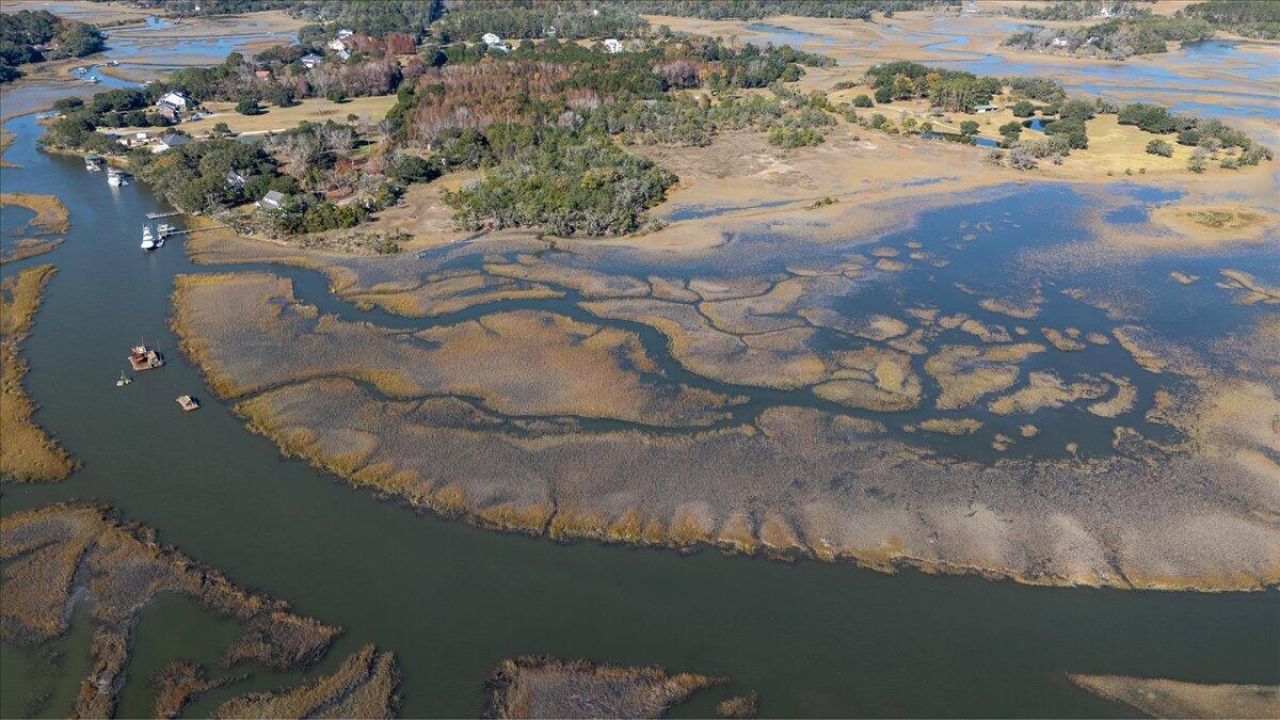 5d Archfield Avenue Photo 16