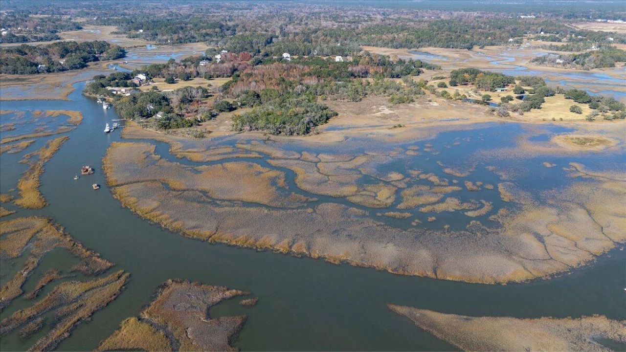 5d Archfield Avenue Photo 18