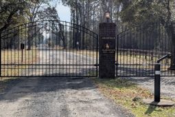 5d Archfield Avenue photo 4