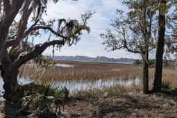 5d Archfield Avenue photo 4