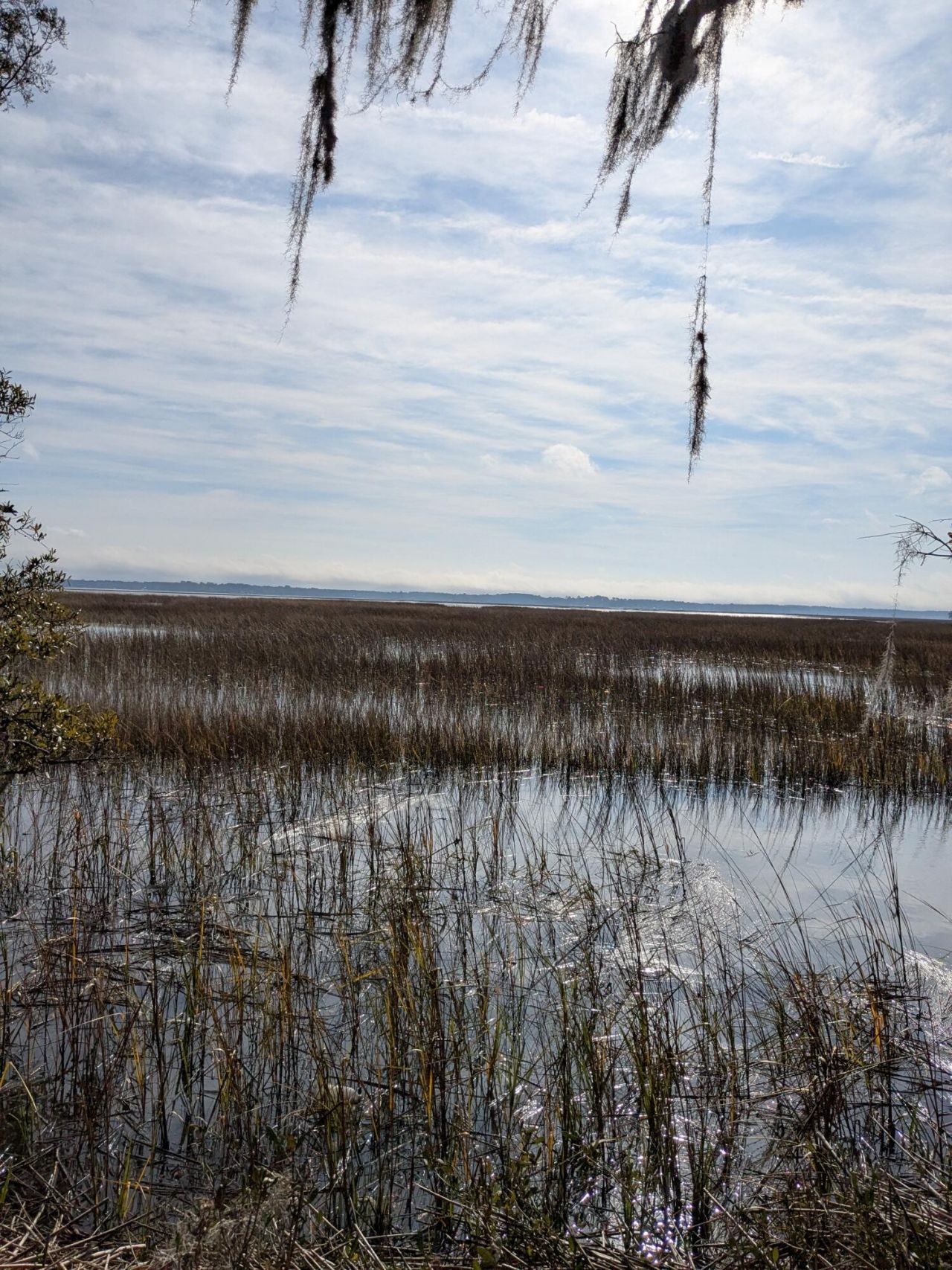 5d Archfield Avenue Photo 5