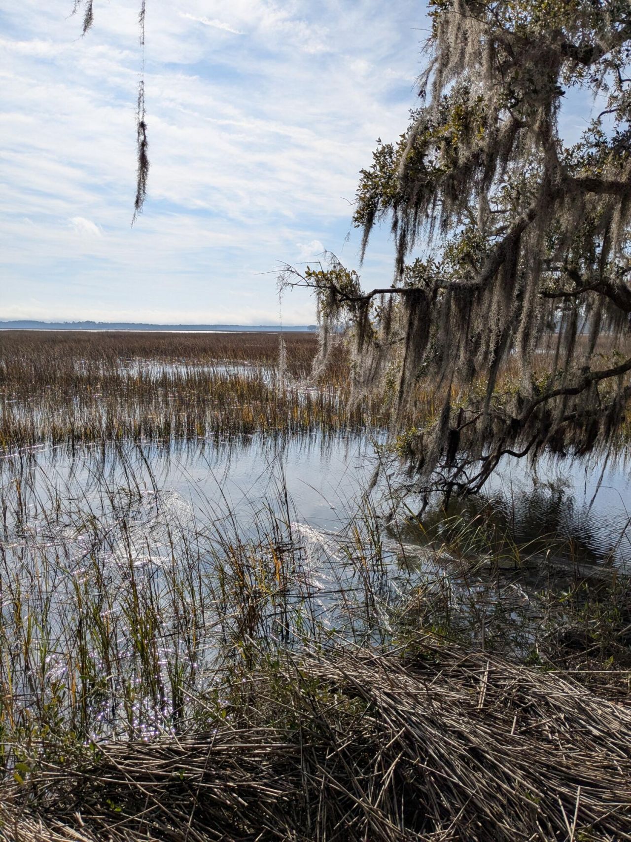 5d Archfield Avenue Photo 6