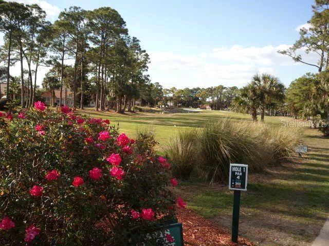 26 Birdie Drive, New Smyrna Beach, FL 32168 Photo