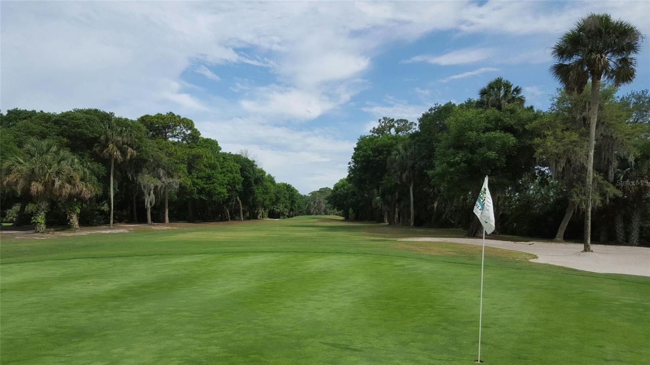 26 Birdie Drive, New Smyrna Beach, FL 32168 Photo