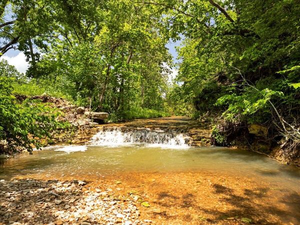 000 Shelton Road, Willow Springs, MO 65793