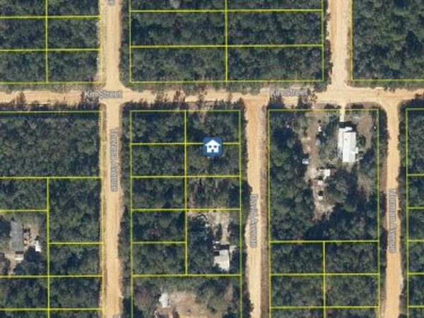 Lot 30 David Avenue, Interlachen, FL 32148
