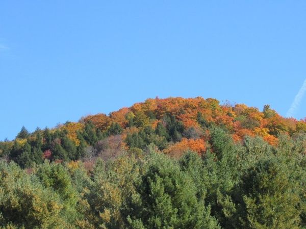 00 Blackmer Boulevard, Stockbridge, VT 05772