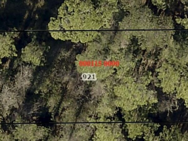 921 MARTIN LUTHER KING JR Drive, Baldwin, FL 32234