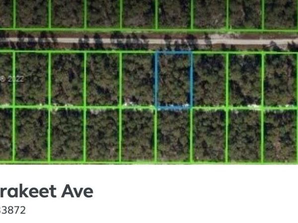 621 PARAKEET AVENUE, SEBRING, FL 33872