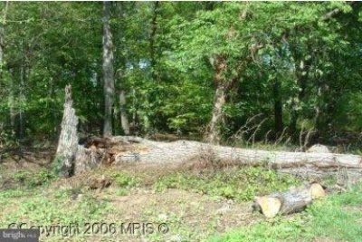 9315 Davidson Street, College Park, MD 20740 Main Photo