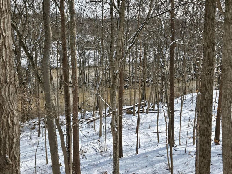 4650 Chatham Court, Dublin, OH 43017 Photo 10