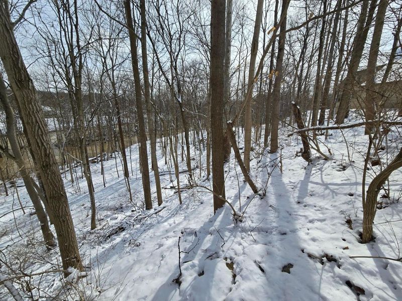 4650 Chatham Court, Dublin, OH 43017 Photo 11