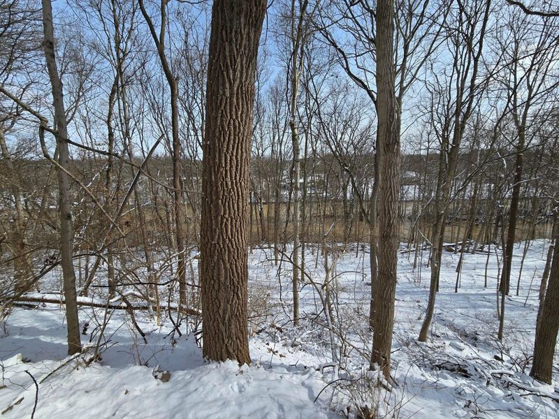 4650 Chatham Court, Dublin, OH 43017 Photo 13