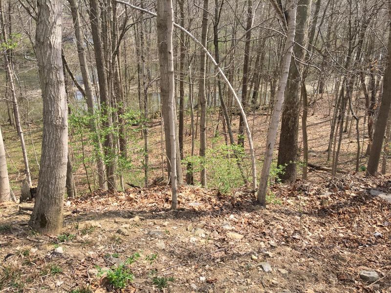 4650 Chatham Court, Dublin, OH 43017 Photo 16