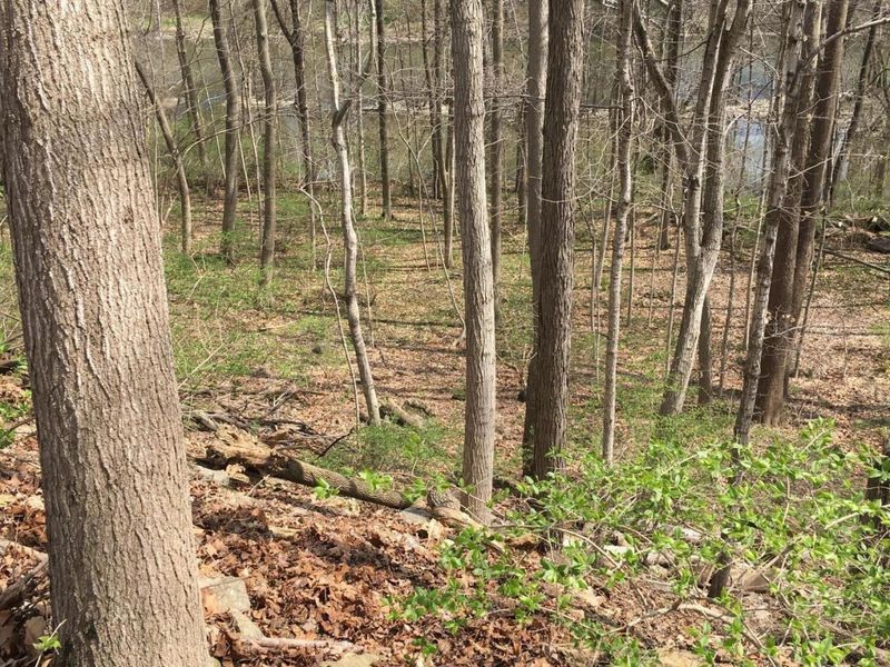 4650 Chatham Court, Dublin, OH 43017 Photo 17