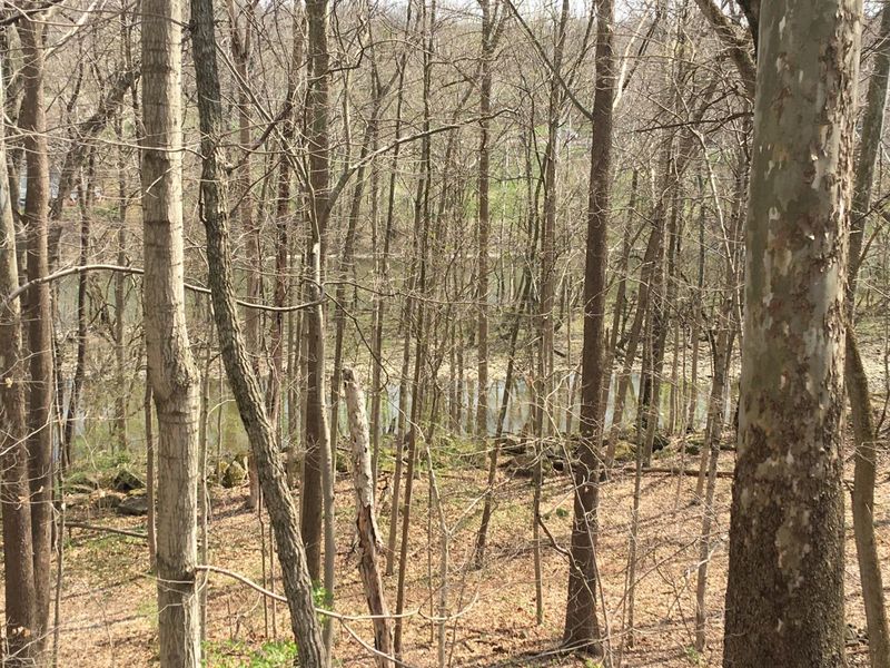 4650 Chatham Court, Dublin, OH 43017 Photo 18