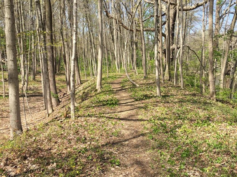 4650 Chatham Court, Dublin, OH 43017 Photo 19