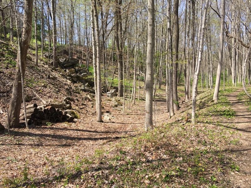 4650 Chatham Court, Dublin, OH 43017 Photo 20