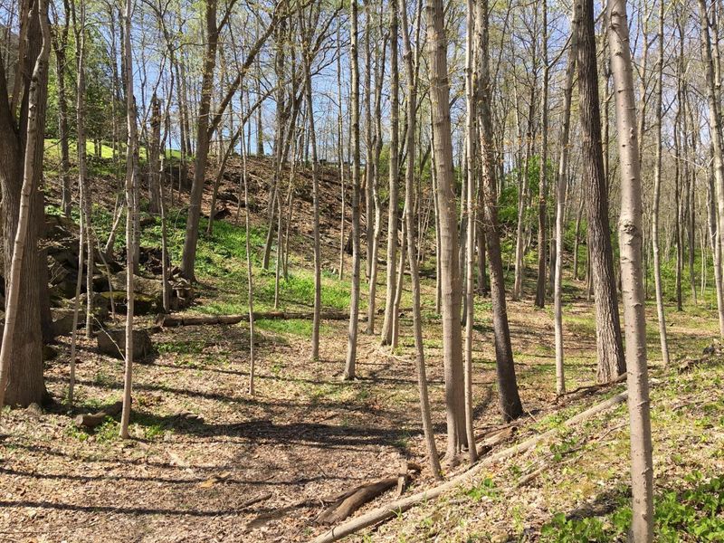 4650 Chatham Court, Dublin, OH 43017 Photo 21