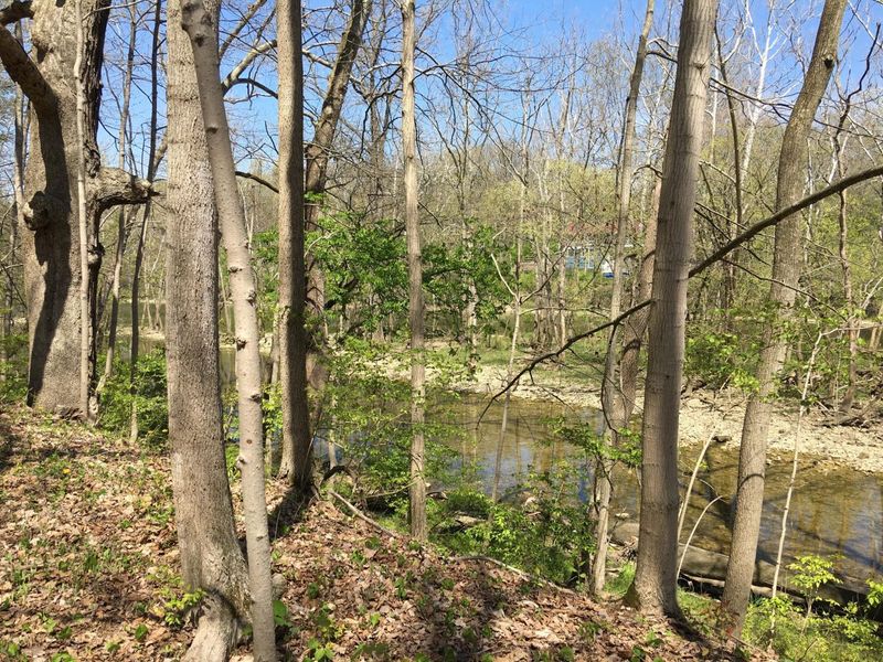 4650 Chatham Court, Dublin, OH 43017 Photo 23