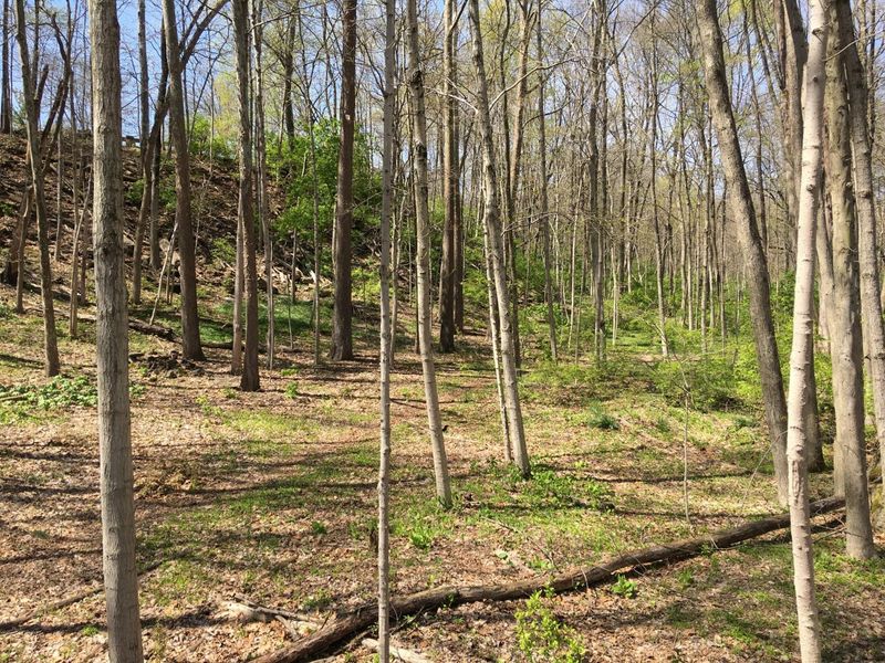 4650 Chatham Court, Dublin, OH 43017 Photo 24