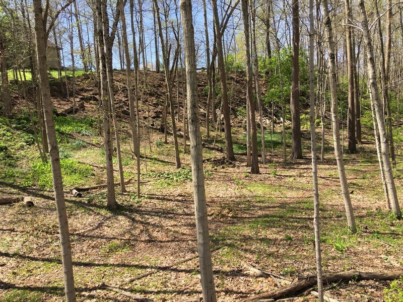 4650 Chatham Court, Dublin, OH 43017 Photo 25