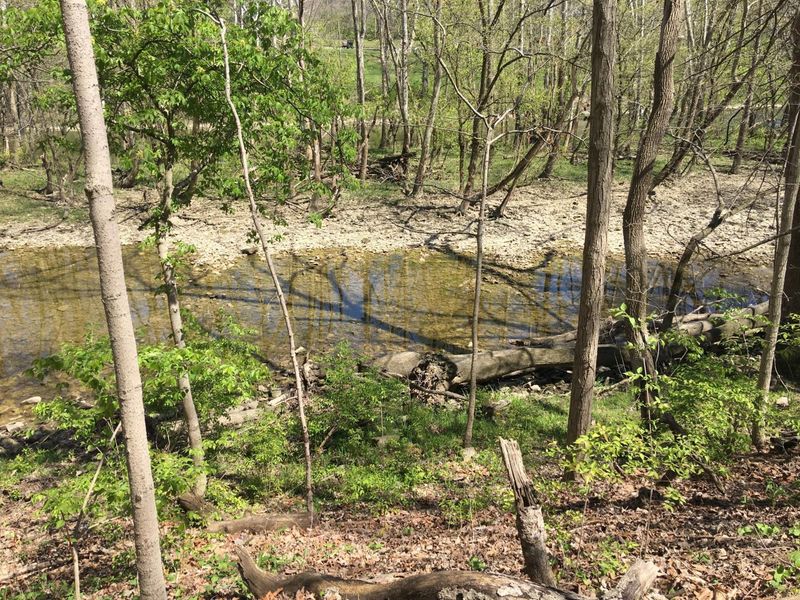 4650 Chatham Court, Dublin, OH 43017 Photo 26