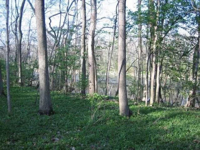 4650 Chatham Court, Dublin, OH 43017 Photo 4